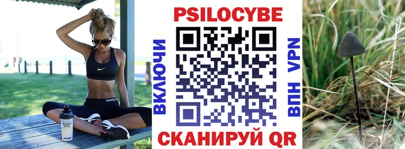 даркнет сайт  Коряжма  Галлюциногенные грибы MAGIC MUSHROOMS 